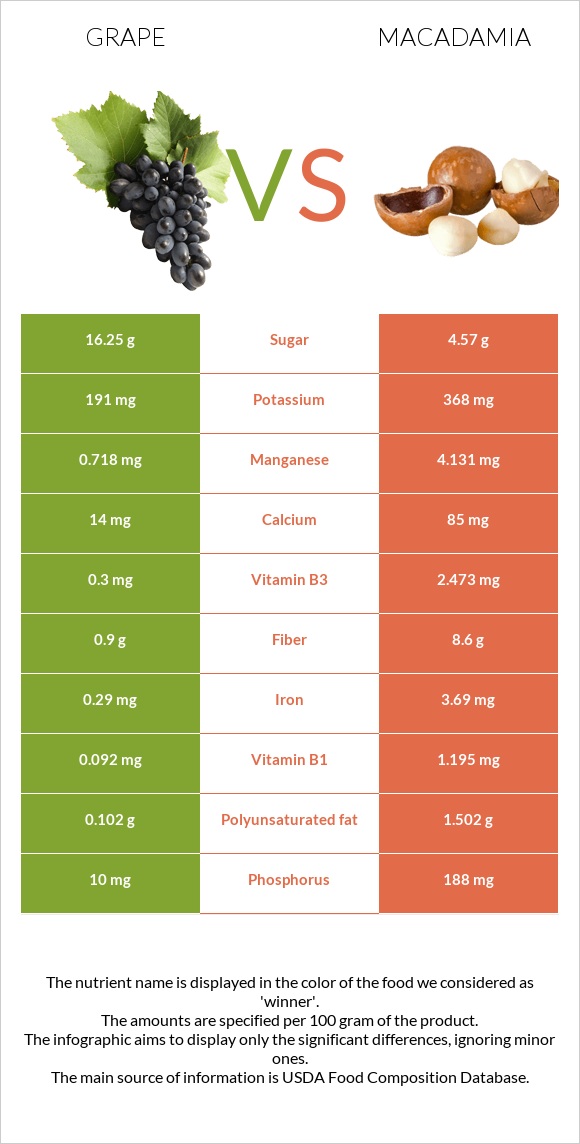 Grape vs Macadamia infographic