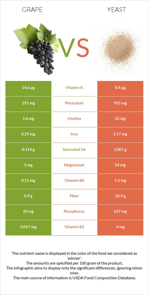 Խաղող vs Խմորասնկեր infographic