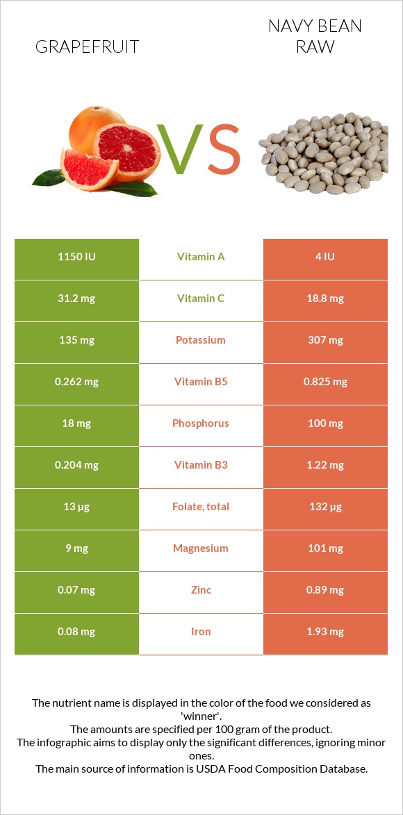 Grapefruit vs Navy bean raw infographic