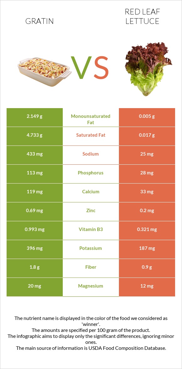 Gratin vs Red leaf lettuce infographic