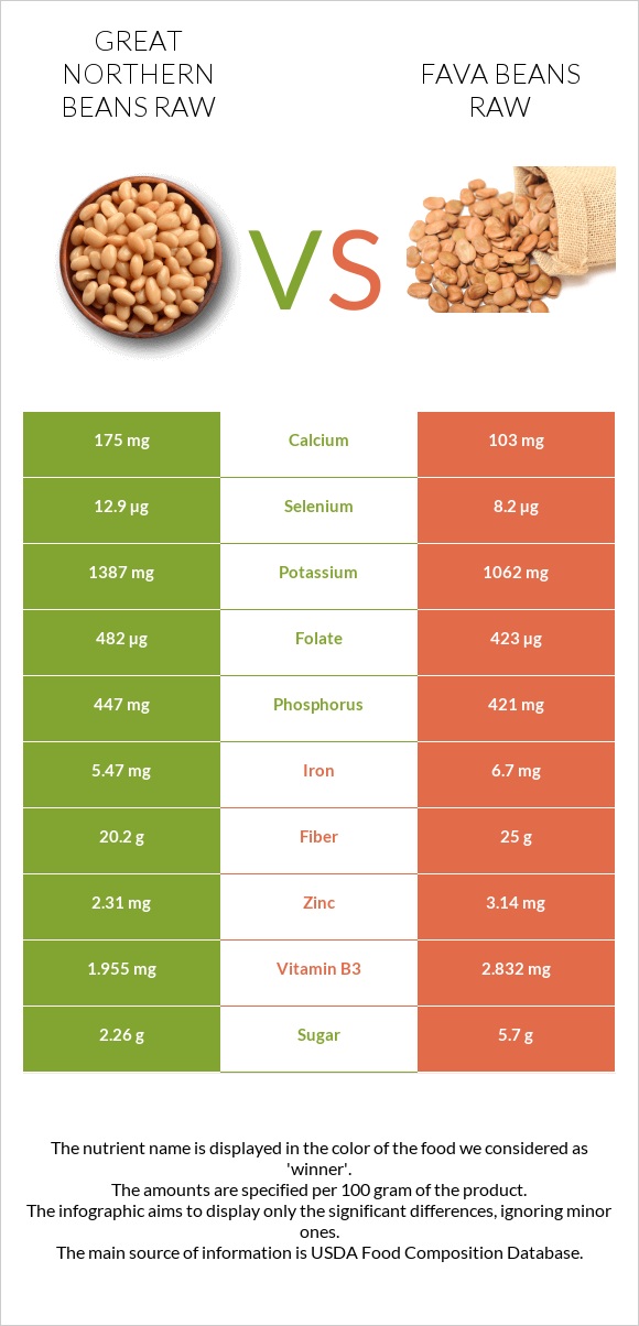 Great northern beans raw vs Fava beans raw infographic