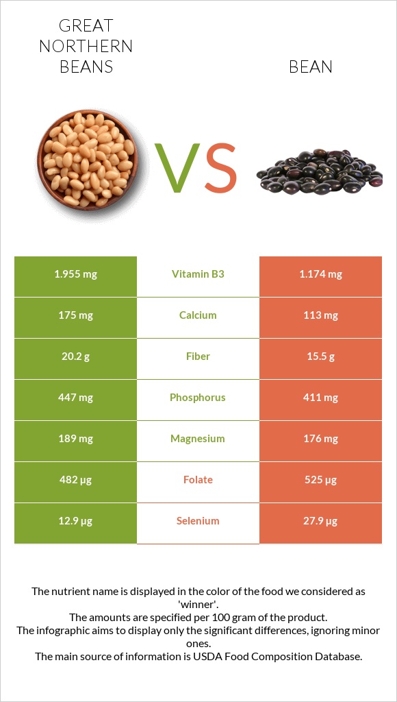 Great northern beans vs Լոբի պինտո infographic
