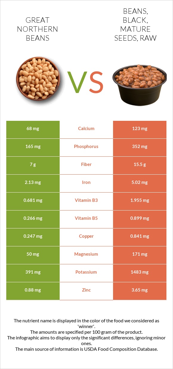 Great northern beans vs Beans, black, mature seeds, raw infographic