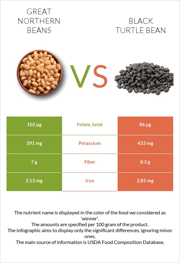 Great northern beans vs Սև լոբի infographic