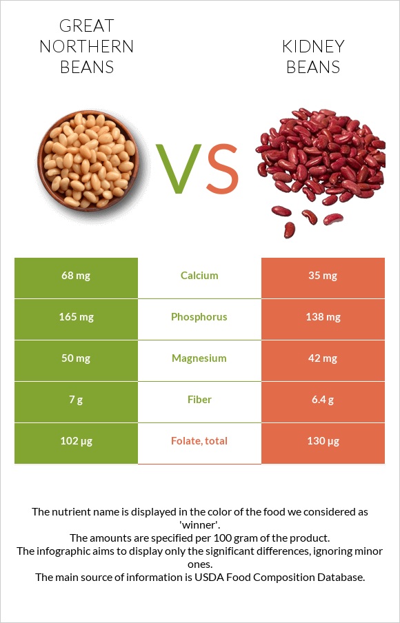 Great northern beans vs Kidney beans infographic