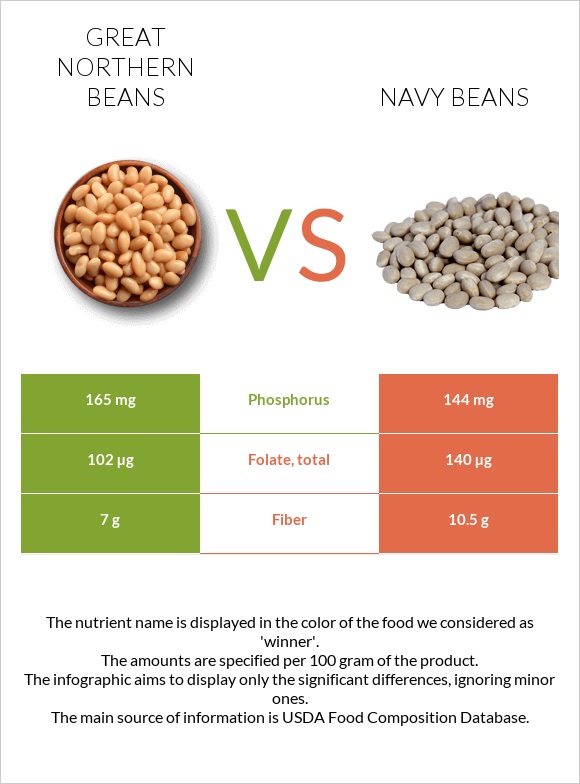 Great northern beans vs Navy beans infographic