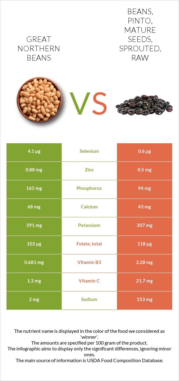 Great northern beans vs Beans, pinto, mature seeds, sprouted, raw In