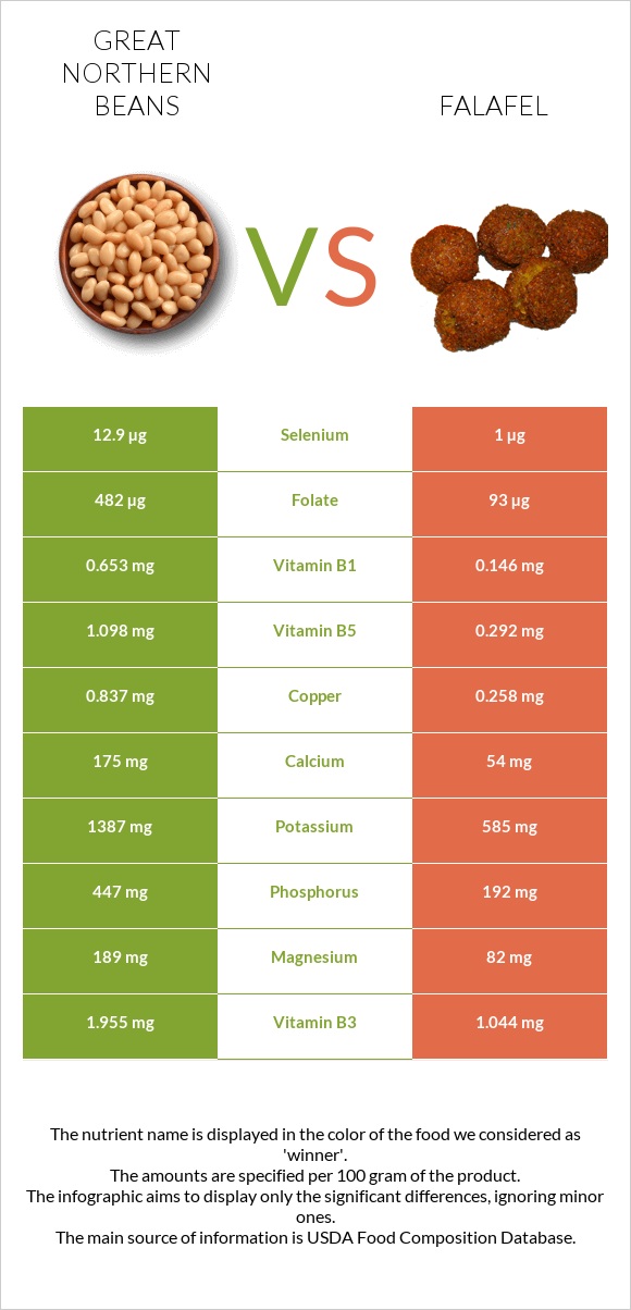 Great northern beans vs Falafel infographic