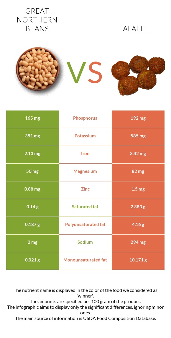 Great northern beans vs Falafel infographic