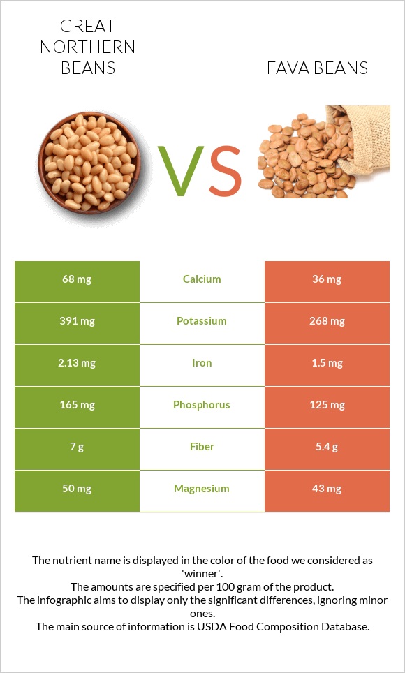 Great northern beans vs Fava beans infographic