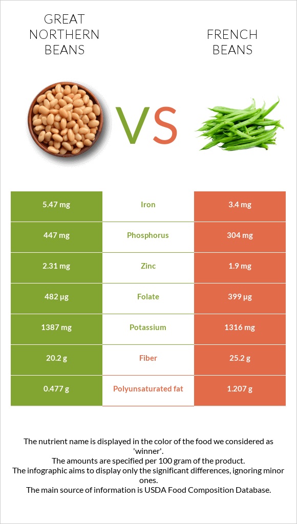 Great northern beans vs French beans infographic
