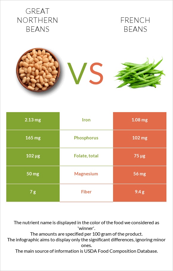 Great northern beans vs French beans infographic