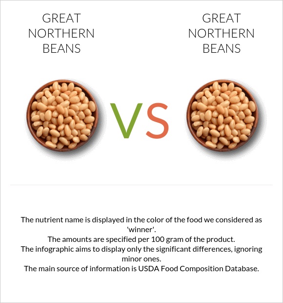 Great northern beans vs Great northern beans infographic