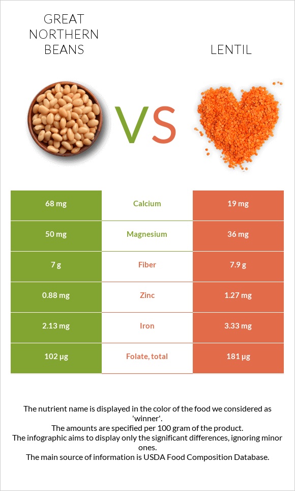 Great northern beans vs Ոսպ infographic