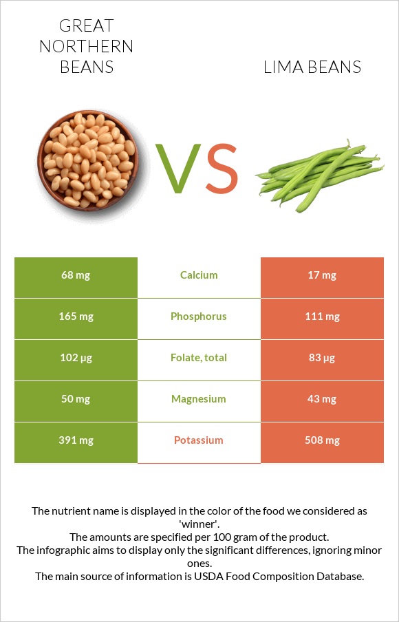 Great northern beans vs Lima bean infographic