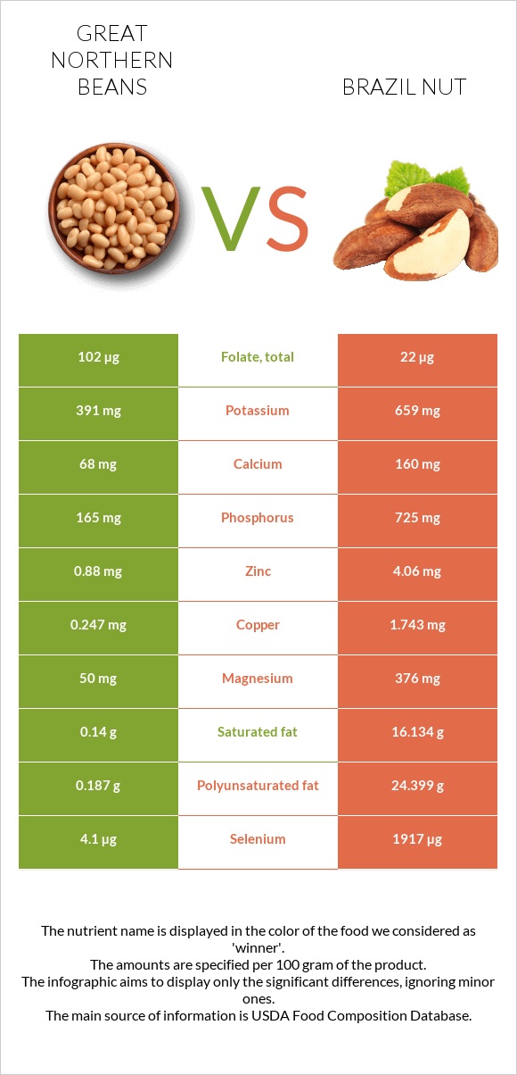 Great northern beans vs Brazil nut infographic