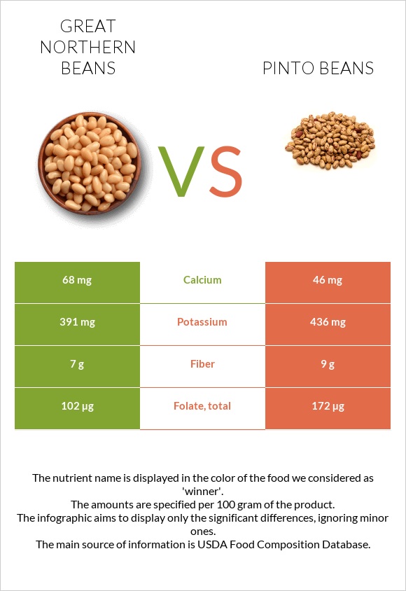 Great northern beans vs Pinto beans infographic