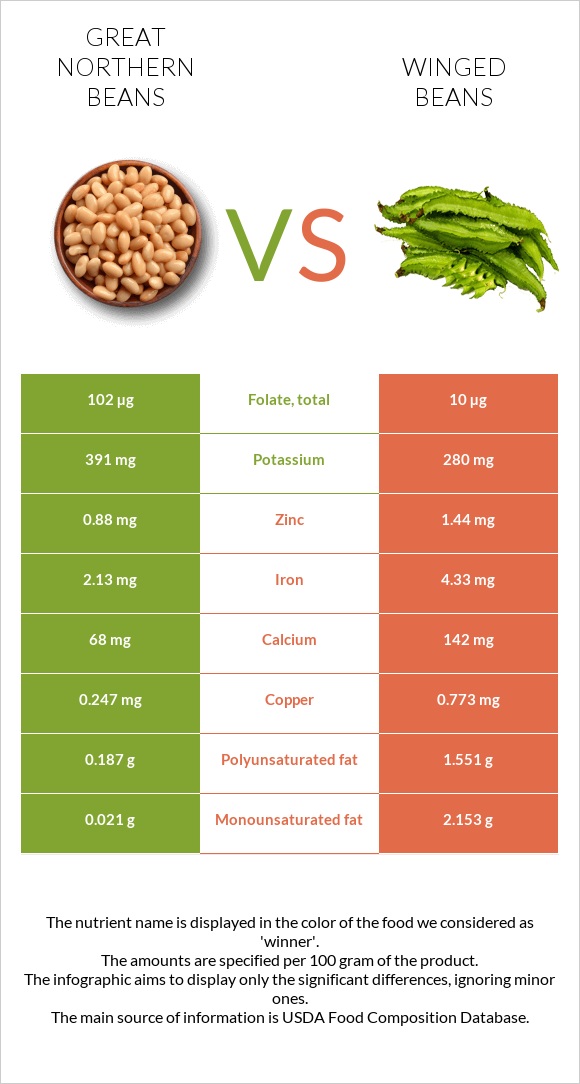 Great northern beans vs Winged beans infographic