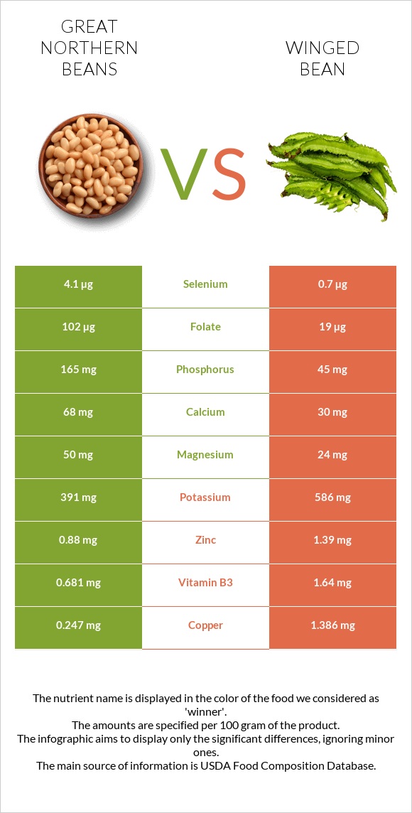 Great northern beans vs Winged bean infographic