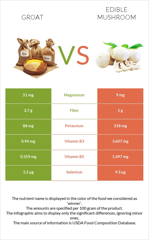 Groat vs Edible mushroom infographic