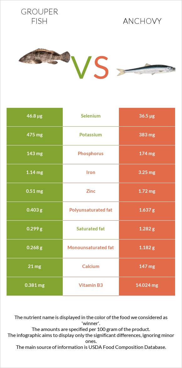 Grouper fish vs Anchovy infographic