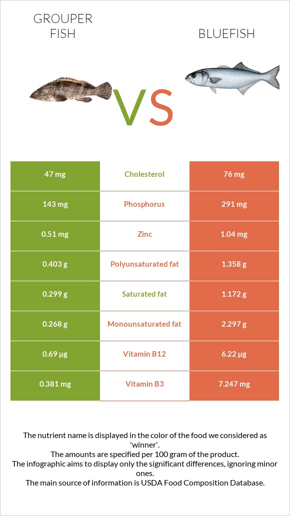 Grouper fish vs Bluefish infographic