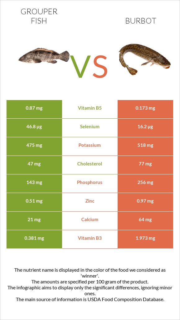 Grouper fish vs Burbot infographic