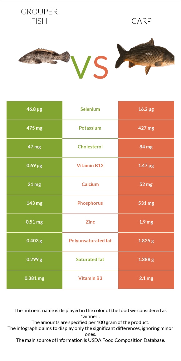 Grouper fish vs Carp infographic