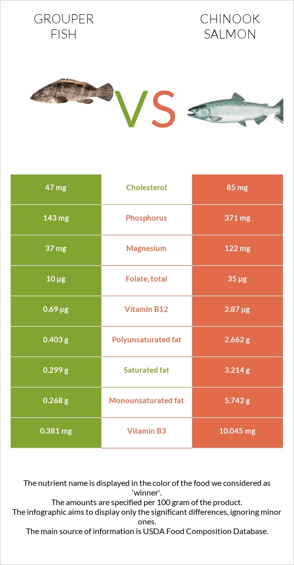 Grouper fish vs Սաղմոն չավիչա infographic