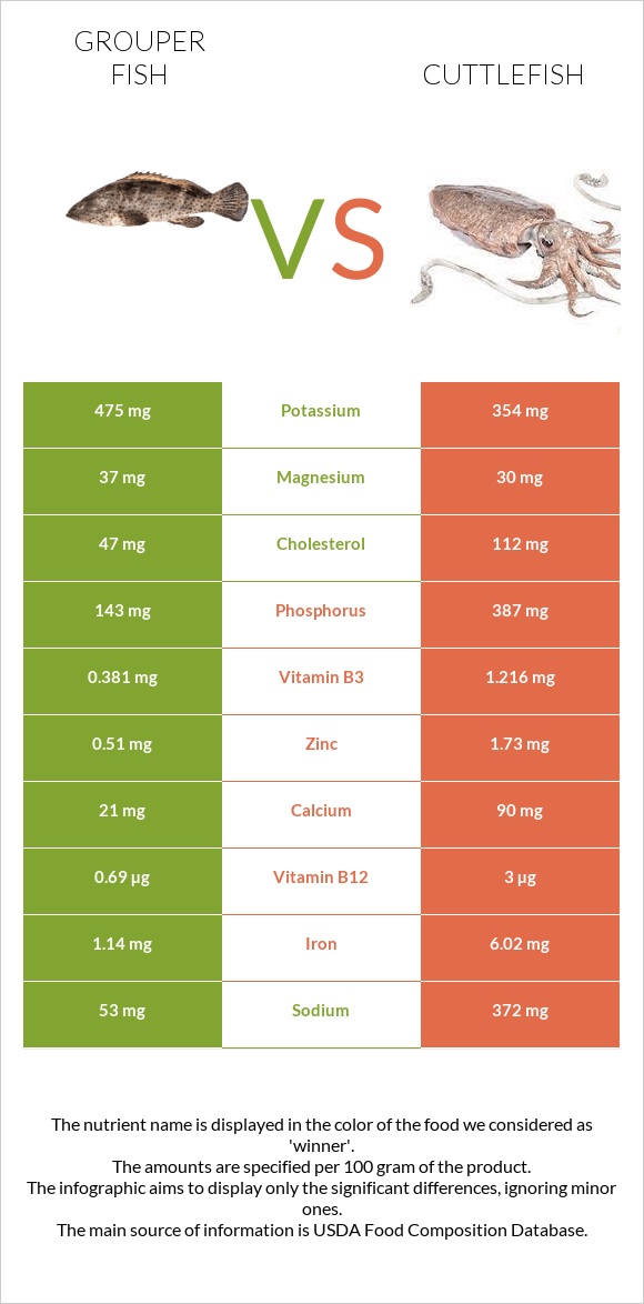 Grouper fish vs Cuttlefish infographic