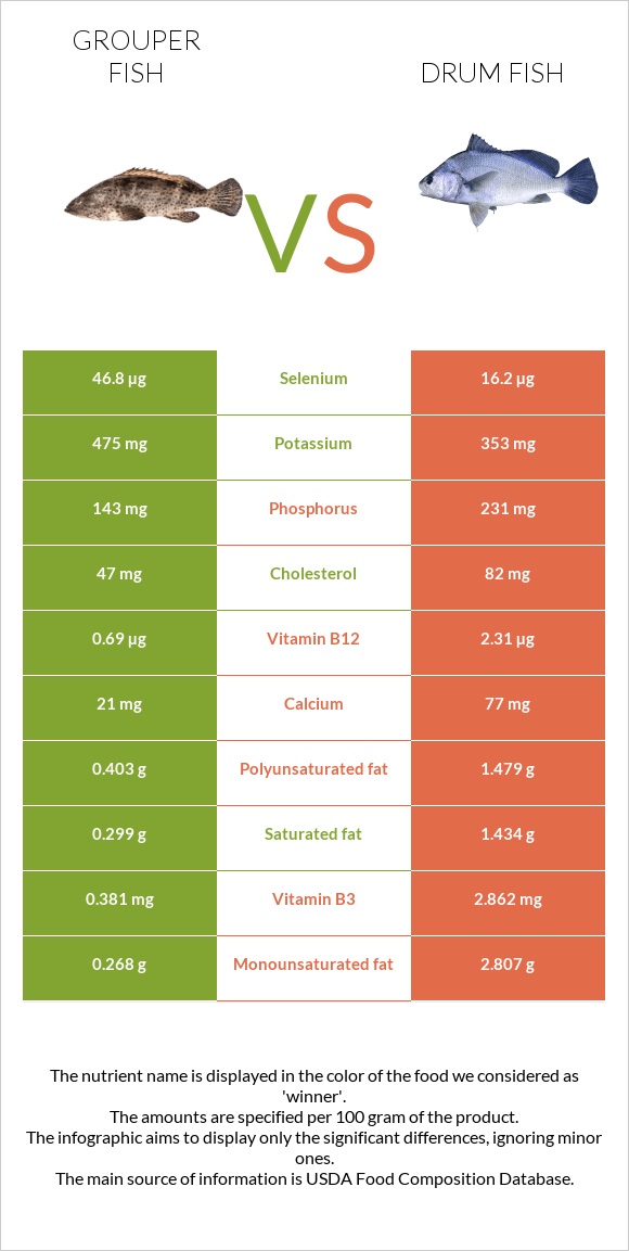 Grouper fish vs Drum fish infographic