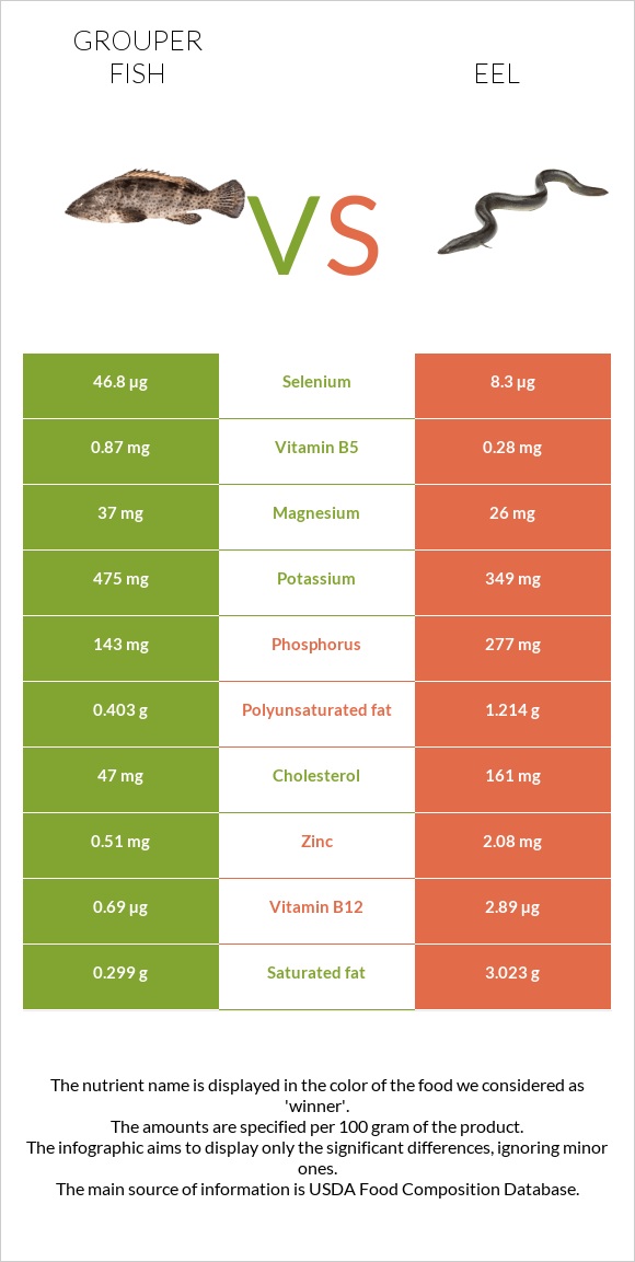 Grouper fish vs Eel infographic