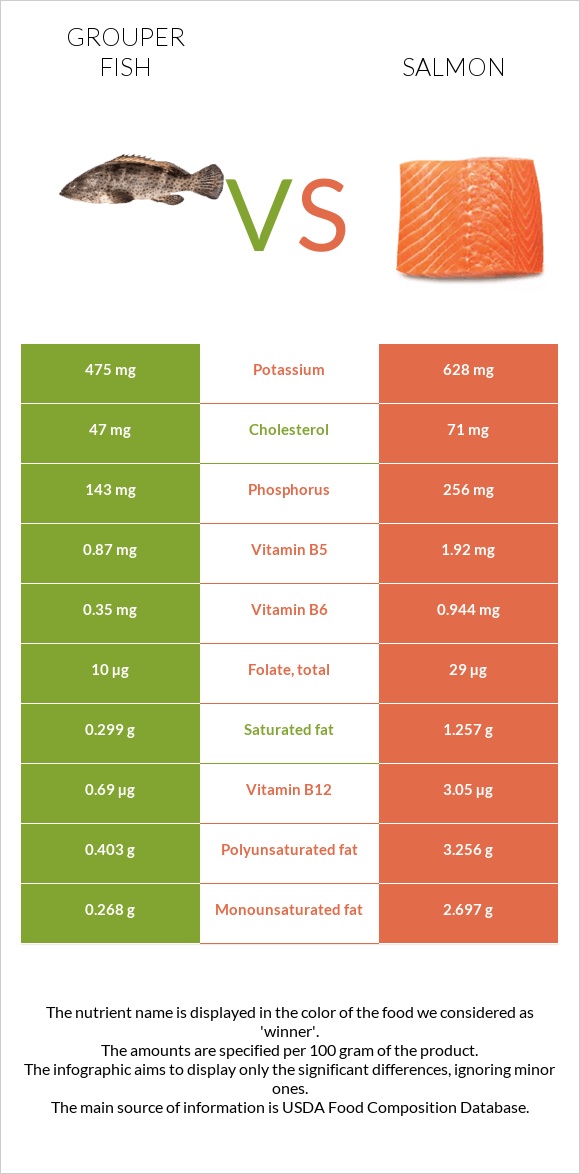 Grouper fish vs Salmon infographic