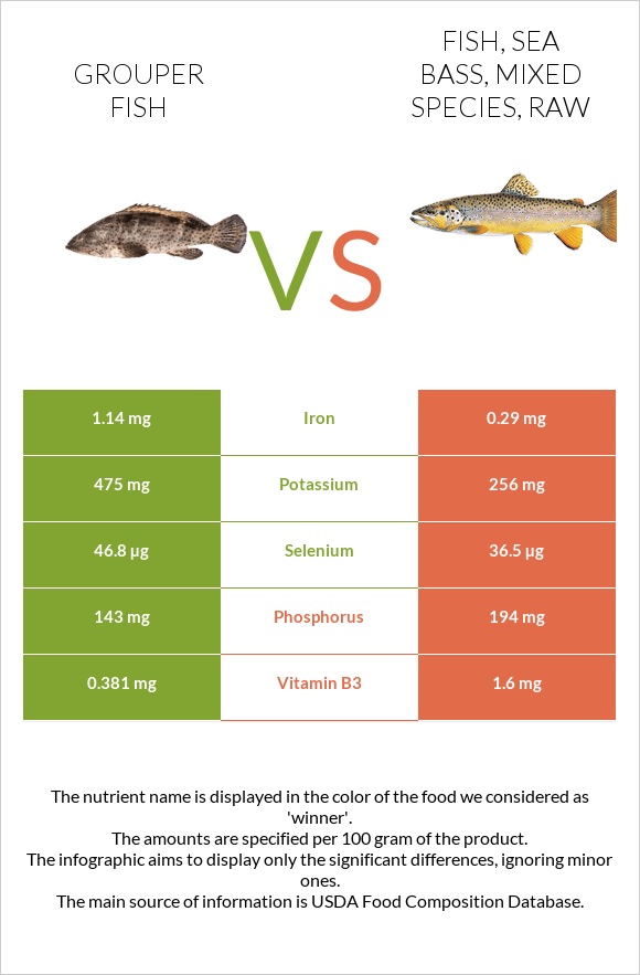 Grouper fish vs Fish, sea bass, mixed species, raw infographic