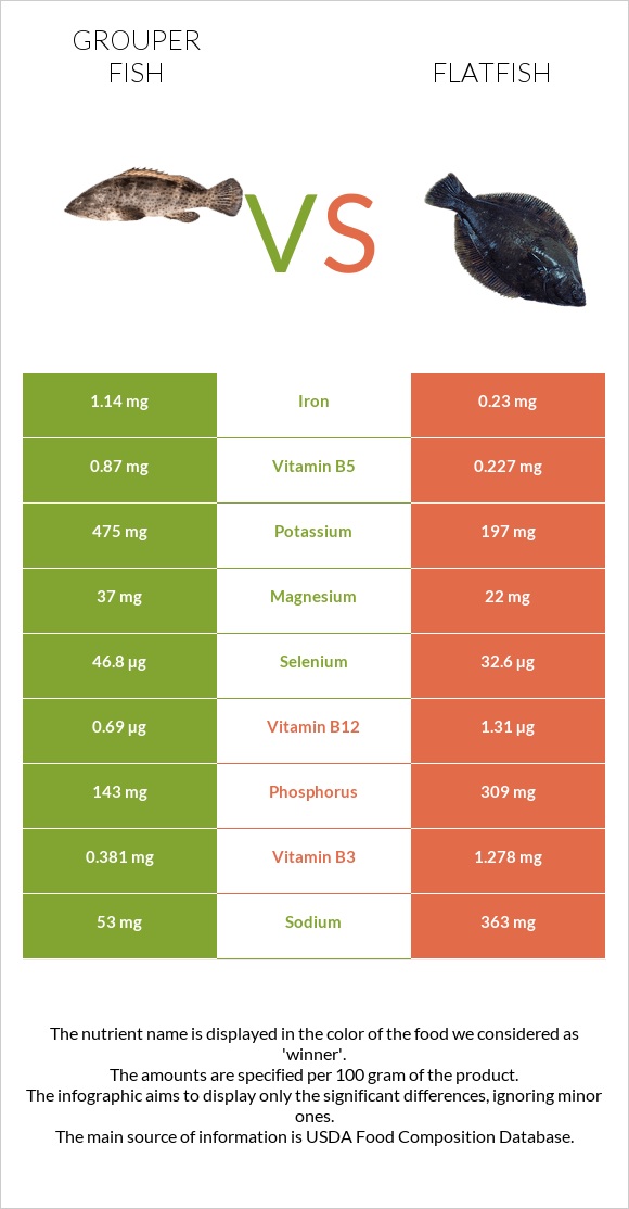 Grouper fish vs Flatfish infographic