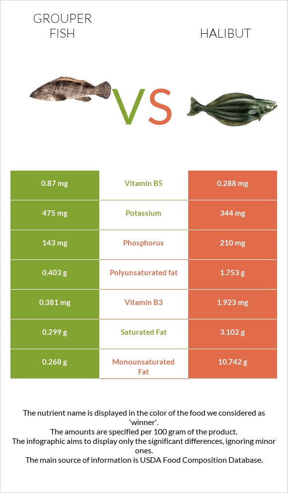 Grouper fish vs Halibut infographic
