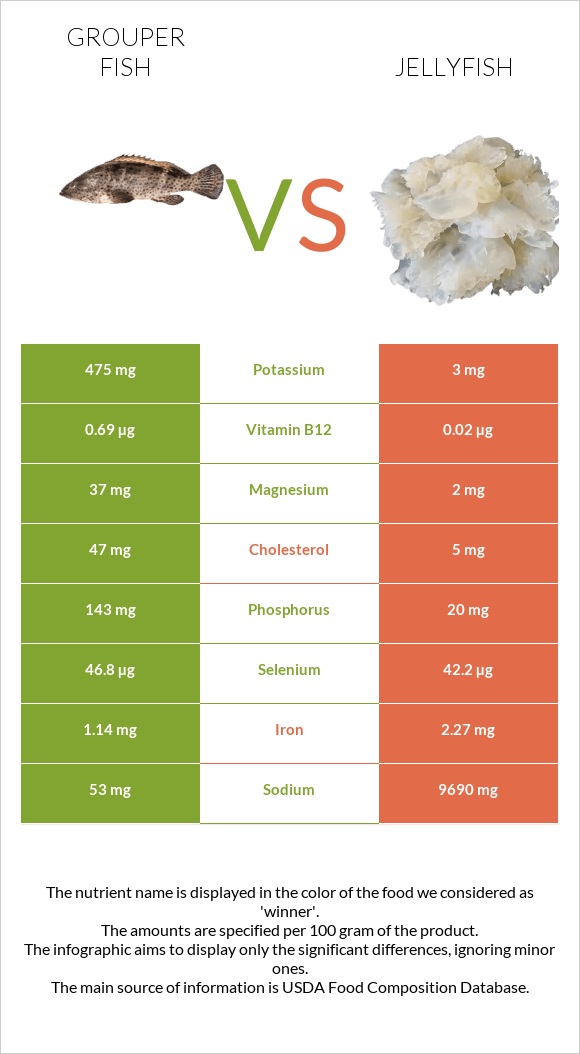 Grouper fish vs Jellyfish infographic