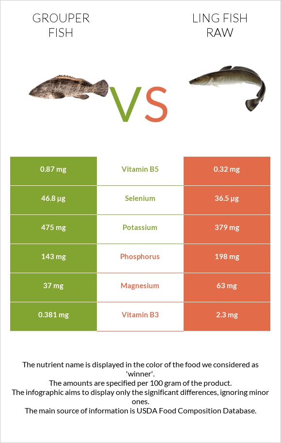 Grouper fish vs Ling fish raw infographic