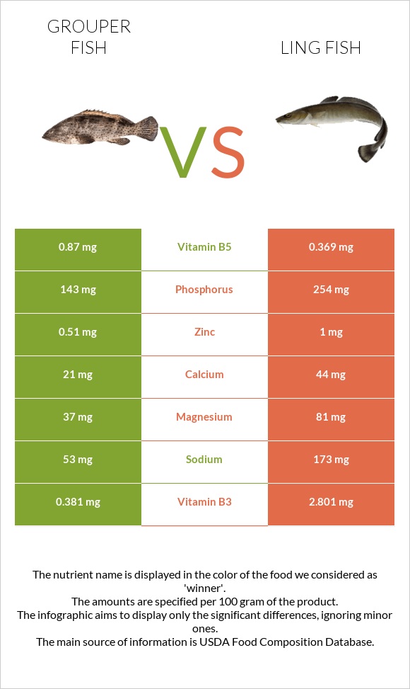 Grouper fish vs Ling fish infographic