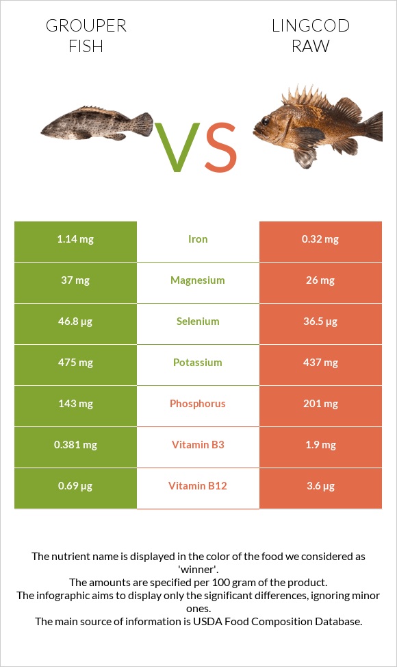 Grouper fish vs Lingcod raw infographic