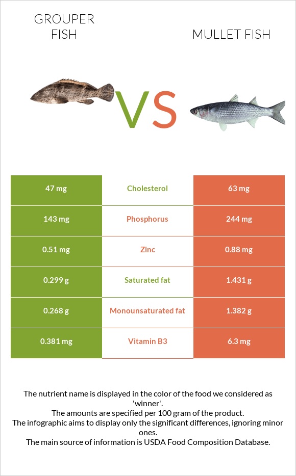 Grouper fish vs Mullet fish infographic