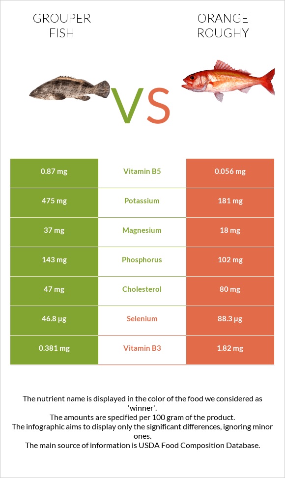 Grouper fish vs Orange roughy infographic