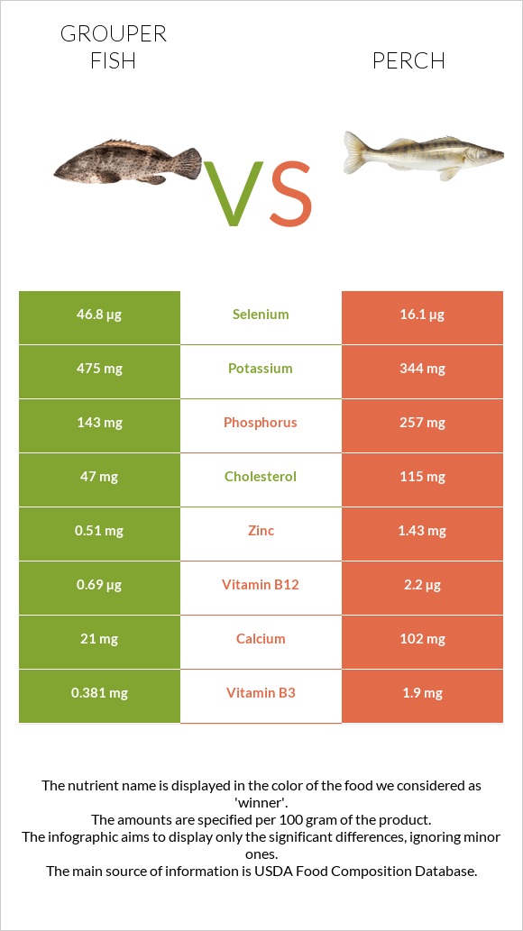 Grouper fish vs Perch infographic