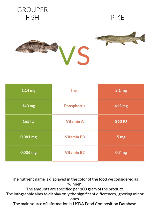 Grouper fish vs Pike infographic