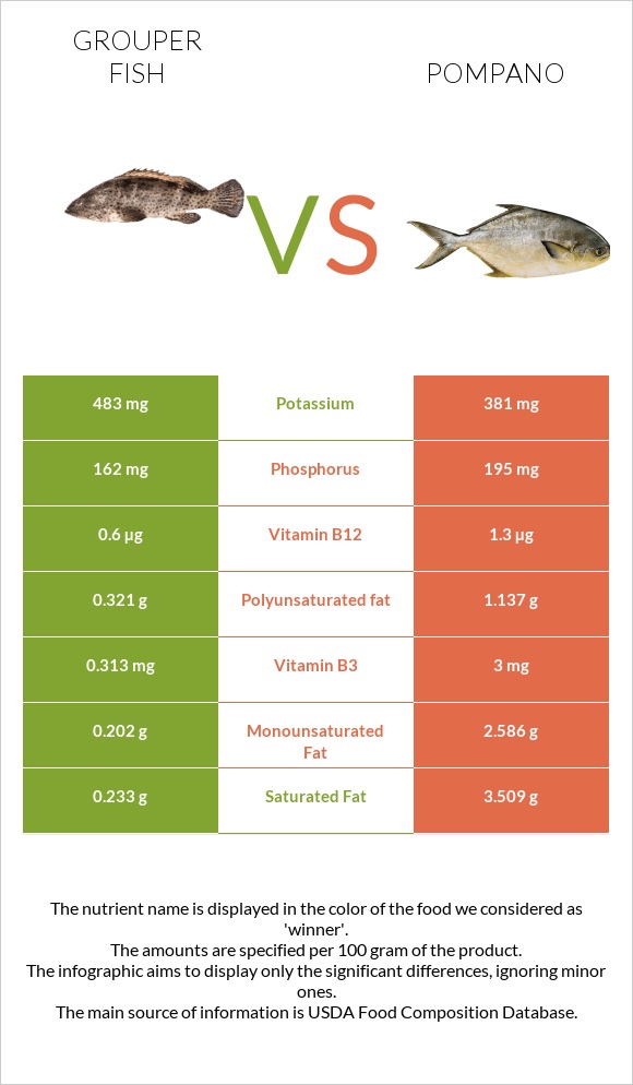 Grouper fish vs Pompano infographic