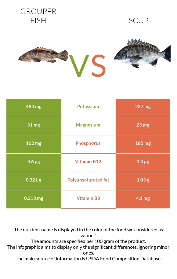 Grouper fish vs Scup infographic