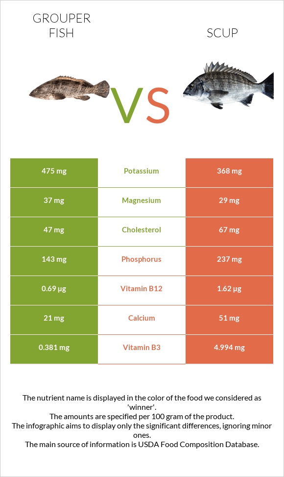 Grouper fish vs Scup infographic