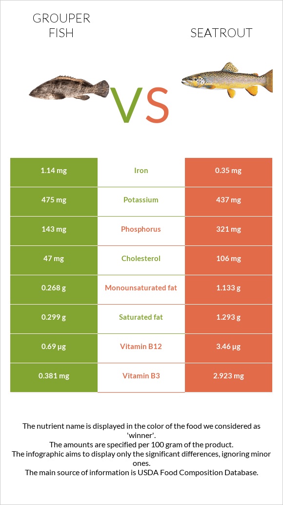 Grouper fish vs Seatrout infographic