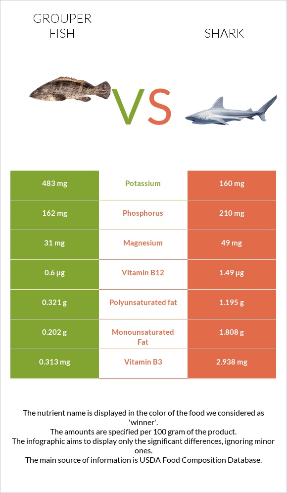 Grouper fish vs Շնաձկներ infographic