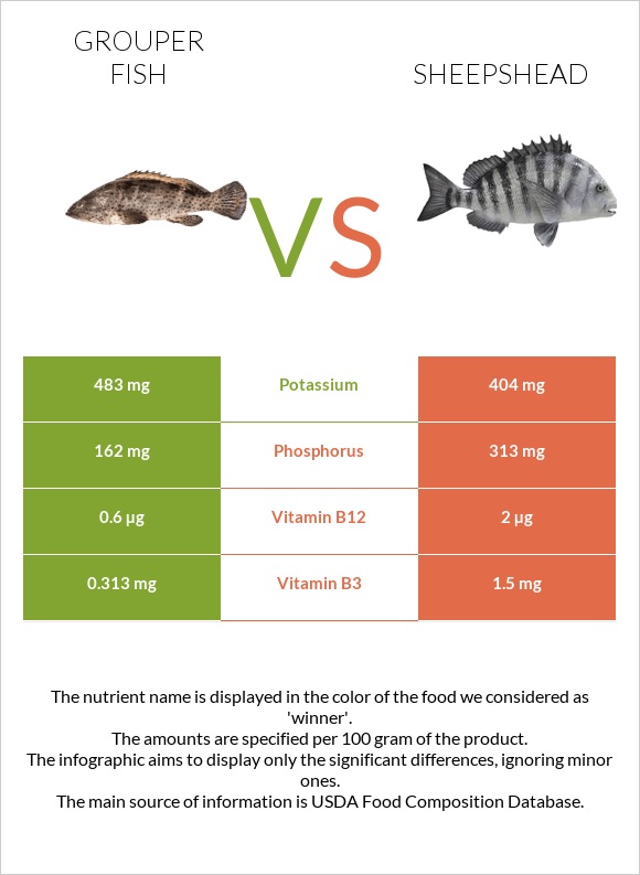 Grouper fish vs Sheepshead infographic